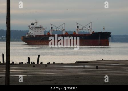 Großes Schiff in Elliot Bay, Seattle Stockfoto