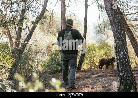 Hunter aufmerksam auf die Jagd im Wald mit seinem Hund vor Stockfoto