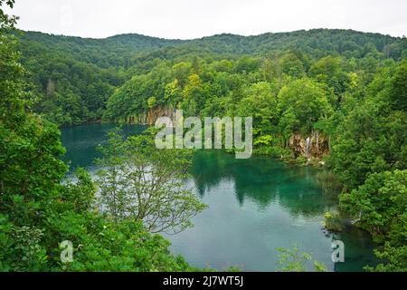 Große türkisfarbene See-Panorama, mit Ketten von Wasserfällen, umgeben von grünem Wald - Nationalpark Plitvicer Seen, Kroatien Stockfoto