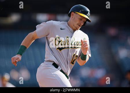 DETROIT, MI – 10. MAI: Der Oakland Athletics-Catcher Sean Murphy (12) rennt um die Basen, um am 10. Mai 2022 in Detroit, Michigan, im vierten Inning gegen die Detroit Tigers einen Treffer von Kevin Smith (1) zu erzielen. (Joe Robbins/Image of Sport) Stockfoto