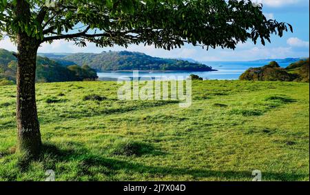 Wunderschöne Aussicht über den Fluss fal in cornwall england Stockfoto