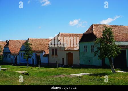 Traditionelle bunte Reihenhäuser im Dorf Viscri im Sommer, ländliche Siebenbürgen Stockfoto