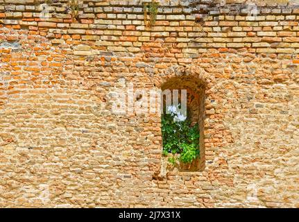 Ilok Castle defensive Wand Detail in Nord-Ost-Kroatien Stockfoto