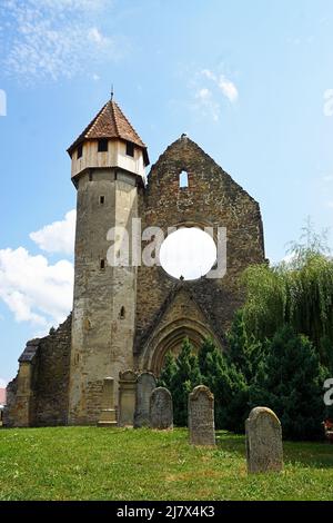 Grabsteine vor dem Turm des Klosters Cârța, mit blauem Himmel und weißen Wolken, Siebenbürgen, Rumänien Stockfoto