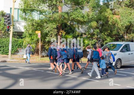 Australische Schulkinder im Bundesstaat New South Wales, die Rucksäcke tragen, einige davon in Begleitung von Erwachsenen, überqueren an einer belebten Fußgängerüberführung Stockfoto