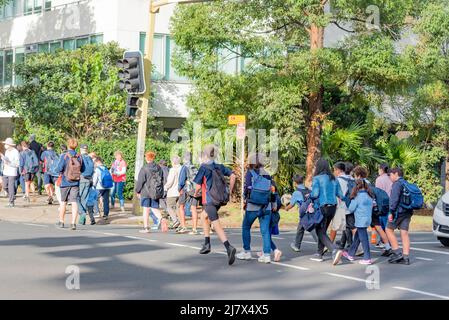 Australische Schulkinder im Bundesstaat New South Wales, die Rucksäcke tragen, einige davon in Begleitung von Erwachsenen, überqueren an einer belebten Fußgängerüberführung Stockfoto