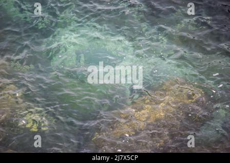 Vault Beach 290422 Stockfoto