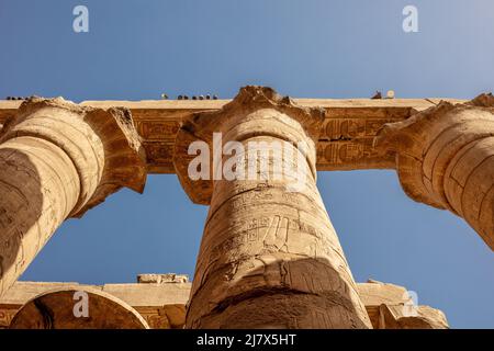 Verschiedene Säulen mit Hieroglyphen im Karnak Tempel. Karnak Tempel ist der größte Komplex im alten Ägypten. Stockfoto