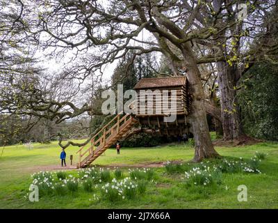 Ein Baumhaus in Plas Newydd in Anglesey, Wales, Großbritannien. Stockfoto