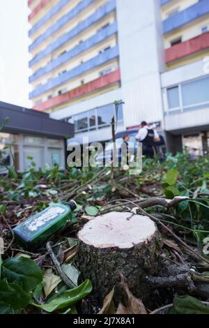 Hanau, Deutschland. 11.. Mai 2022. Ein Baumstumpf steht an einem Hochhaus, nachdem Polizeiforensiker die Blumen und Büsche vor ihm abgeschnitten haben, um besser zu suchen. Ein totes Mädchen war am Morgen im Gebäude gefunden worden. Vor dem Haus auf der Straße lag ein schwer verletzter Junge, der später starb. Kredit: Frank Rumpenhorst/dpa/Alamy Live Nachrichten Stockfoto