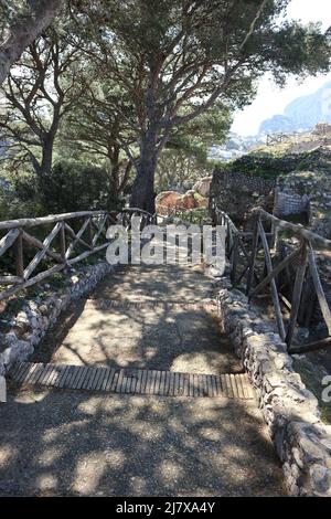 Capri – Sentiero tra i ruderi di Villa Jovis Stockfoto