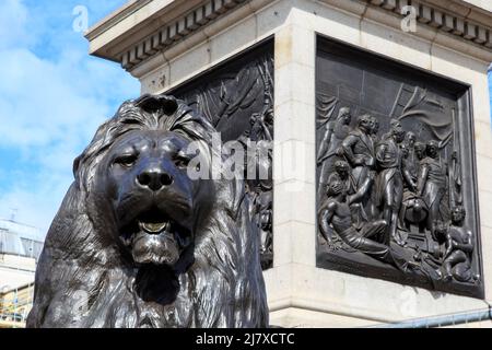 LONDON, GROSSBRITANNIEN - 12. MAI 2014: Es ist ein Fragment der Skulptur eines Löwen am Fuße der Nelson-Säule. Stockfoto