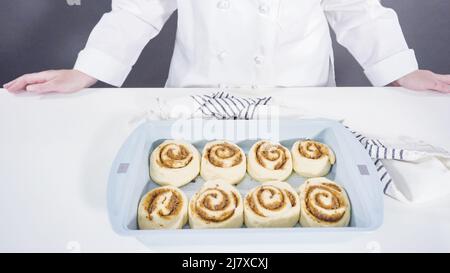 Ungebackene Zimtbrötchen in einer blauen Backform. Stockfoto