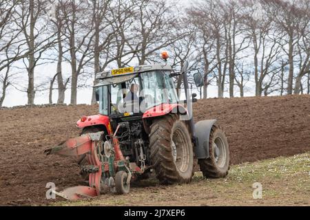 Ein älterer Landwirt, der am Bewölkten Tag auf einem Hügel in Aberdeenshire ein Feld in einem Red Massey Ferguson Traktor pflügt Stockfoto