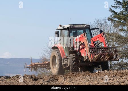 Ein Massey Ferguson-Traktor mit Frontlader und einem hängenden Cultivator, der sich in Sunshine auf einem gepflügten Feld dreht Stockfoto