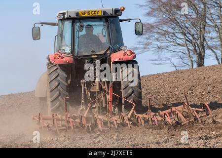 Rückansicht eines roten Traktors, der im Frühjahr auf einem gepflügten Feld mit einem Tine Cultivator eingesetzt wird Stockfoto