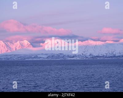 Rosafarbener Sonnenuntergang über der schneebedeckten Küste Nordnorwegens Stockfoto