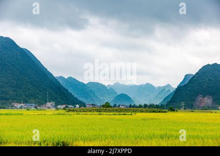 BAC Son Reistal in Vietnam Stockfoto