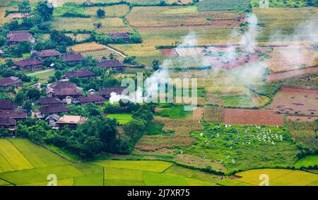 Bunte Reisfelder im ländlichen Vietnam Stockfoto