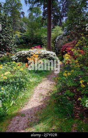 English Country Garden Stockfoto