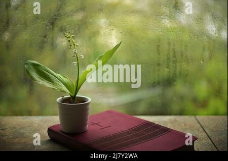 Regnerischer Frühling mit Maiglöckchen Blume auf der Bibel Stockfoto