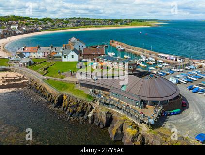 Luftaufnahme des Scottish Seabird Center im Hafen von North Berwick in East Lothian, Schottland, Großbritannien Stockfoto