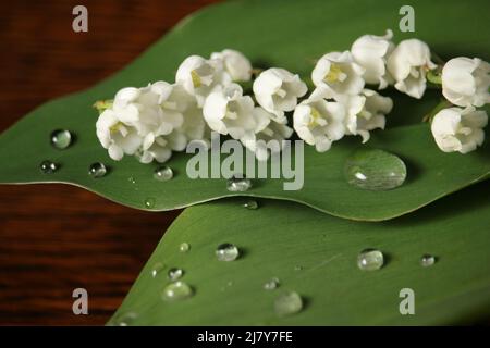 Blühende Maiglöckchen auf grünem Blatt. Glückwunschkarte zum Geburtstag. Blumenstrauß von Lilien des Tales auf hölzernen Hintergrund. Stockfoto
