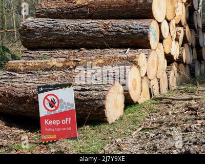 Warnschild durch Stapel von Baumstämmen, der New Forest, Hampshire, Großbritannien Stockfoto