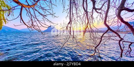 Die Frühlingsbrunchen überwanden das Wasser des Luganer Sees, Lugano, Schweiz Stockfoto