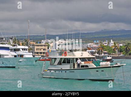 Boote in Academy Bay, Puerto Isidro Ayora, Santa Cruz Island, Galapagos, Ecuador Stockfoto