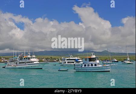 Boote in Academy Bay, Puerto Isidro Ayora, Santa Cruz Island, Galapagos, Ecuador Stockfoto