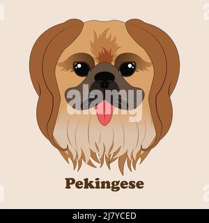 Pekingese. Drucken mit niedlichen Hund mit Hintergrund. Stock Vektor