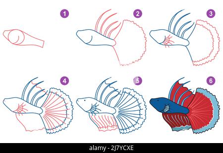 Anweisungen zum Zeichnen von Betta. Schritt für Schritt. Stock Vektor