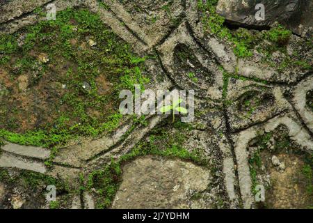 Landschaft, schöne Steinmauer, Sandwasser Stockfoto