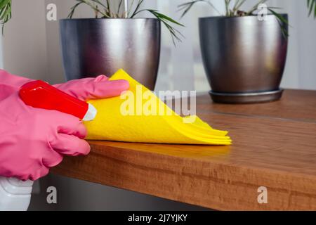 Happy girl Reinigungstisch mit Möbelpolitur zu Hause Reinigung Unternehmen Dienstleistungen Stockfoto