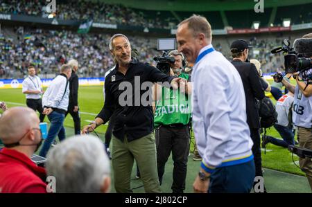 Trainer Adi Hütter (BMG) und Trainer Oleksandr Petrakov (Ukraine) Borussia Mönchengladbach - Ukraine 11.05.2022, Fussball; Saison 2021/22 Foto: Moritz Müller Copyright (nur für journalistische Zwecke) by : Moritz Müller, Wilhelm-Raabe-Str.18, 40470 Düsseldorf. Tel 0211-13954918. MB.: 0176-81034275; Honorar zzgl. 7 % UmSt. + Belegexemplar; Commerzbank, Konto: 3813045, BLZ: 30040000; IBAN: DE49 3004 0000 0381 3045 00; Finanzamt Düsseldorf-Nord, Steuernummer: 105/5193/1677 Stockfoto