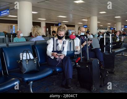 Flugbegleiter von American Airlines verwenden ihre Smartphones, während sie im Terminal des Phoenix Sky Harbor International Airport in Phoenix, Arizona, sitzen. Stockfoto