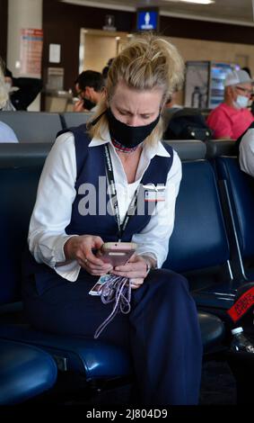 Flugbegleiter von American Airlines verwenden ihre Smartphones, während sie im Terminal des Phoenix Sky Harbor International Airport in Phoenix, Arizona, sitzen. Stockfoto