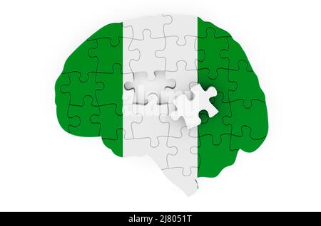 Nigrische Flagge, die aus Puzzles auf das Gehirn gemalt wurde. Wissenschaftliche Forschung und Bildung in Nigeria Konzept, 3D Rendering isoliert auf weißem Hintergrund Stockfoto