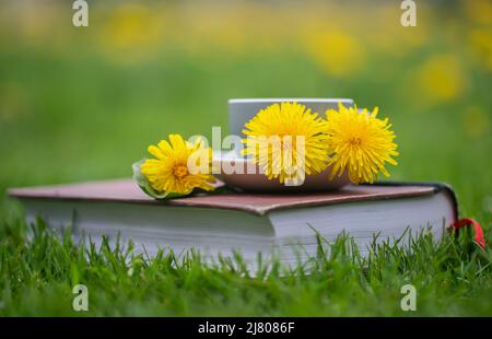 Kräutertee aus Dandelion im Blumengarten mit Buch Stockfoto