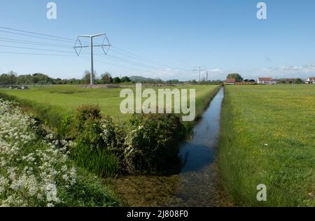 T pylons, die den Hinkley bilden, zeigen auf Avonmouth National Grid Link bei Mark, Somerset, England, Großbritannien Stockfoto