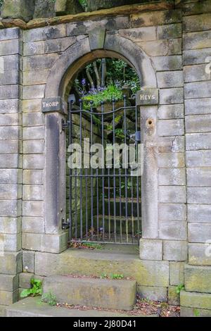 Eine geheimnisvolle eingezäunte Öffnung in einer Steinmauer über der West Yorkshire-Stadt Holmfirth führt zu einem zarten Klumpen von Bluebells Stockfoto