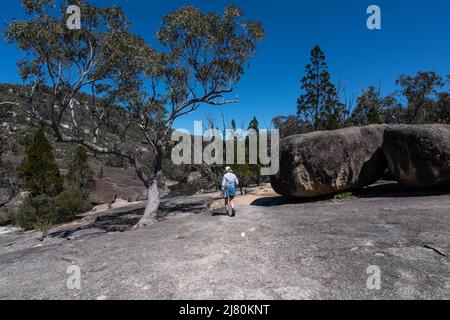 Frau, die zur Kreuzung im Girraween National Park, Queensland, Australien, wandert Stockfoto