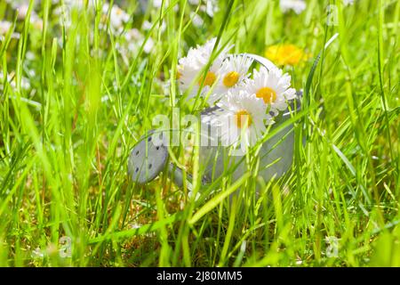 Miniatur-Zink-Gießkanne mit Gänseblümchen innen auf grüner Wiese zwischen Gras Stockfoto