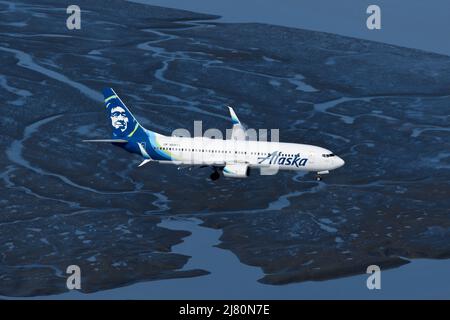 Flugzeug der Boeing 737 von Alaska Airlines landet in Anchorage, Alaska. Flugzeug N514AS, das von oben gesehen ankommt. Alaska Airlines 737-800 Flugzeug. Stockfoto