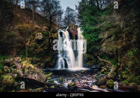 Posforth Gill Waterfall in the Valley of Desolation, Bolton Abbey, Yorkshire Dales National Park, Yorkshire, England, Großbritannien Stockfoto