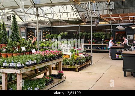 Frau, die in einer Pflanzenkinderei oder einem Gartencenter in Birmingham, Alabama, USA, einkaufen und Frau kaufen. Stockfoto