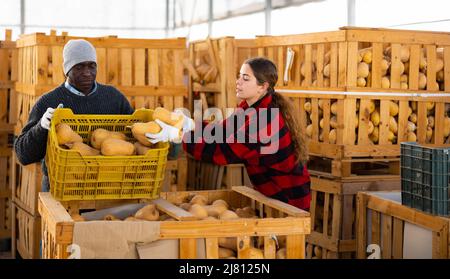 Mann und Frau Bauern reden während des Stapels von Kürbissen Stockfoto