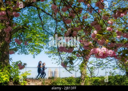 Die Stephanie und Fred Shuman Laufstrecke im Central Park ist an einem sonnigen Frühlingstag, NYC, USA 2022, beliebt Stockfoto