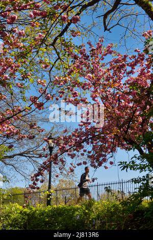 Die Stephanie und Fred Shuman Laufstrecke im Central Park ist wunderschön an einem sonnigen Frühlingstag, NYC, USA 2022 Stockfoto